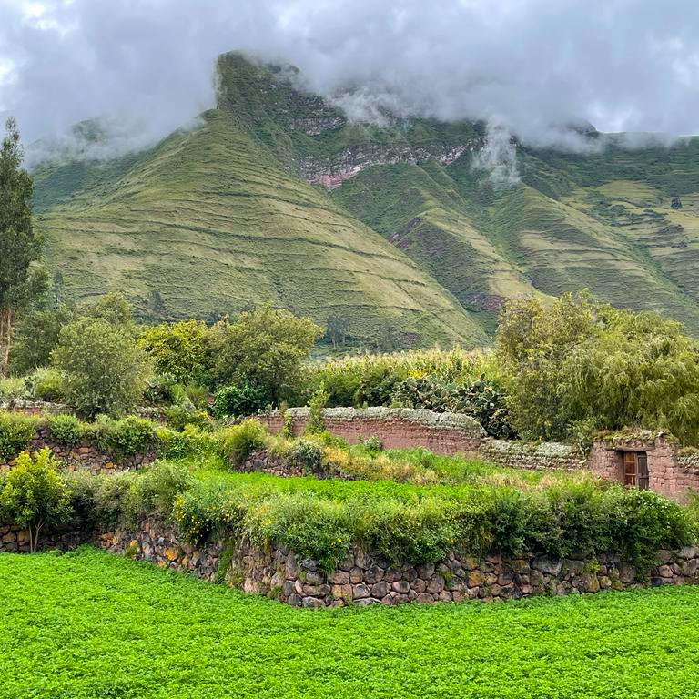 Hike Yucay’s Inca terraces with local anthropologist