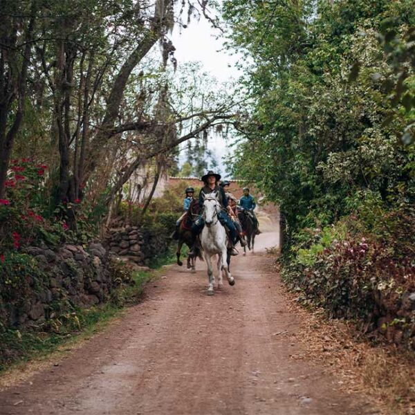 Connection And Horseback Riding In Urubamba (9)